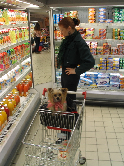 Amy Paris Groceries .jpg